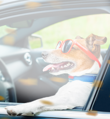 Food Frenzy! Save up to 30%