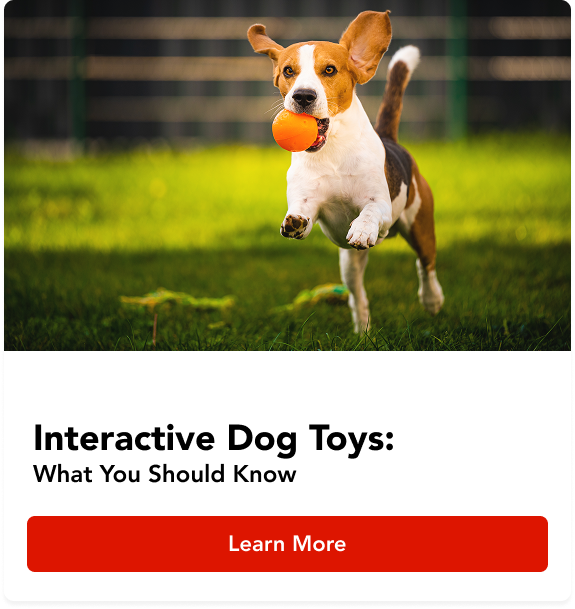 Raw Food Diet: What You Should Know