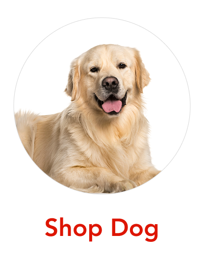 Image without a name