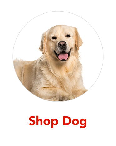 Image without a name