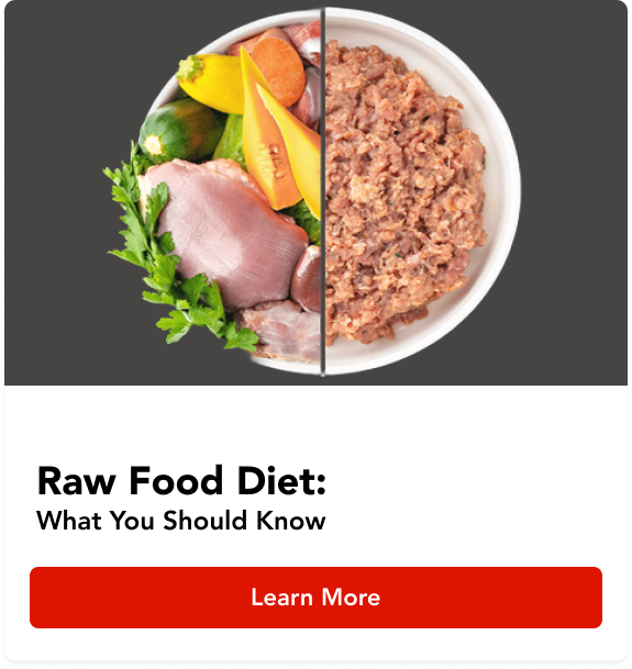 Raw Food Diet: What You Should Know
