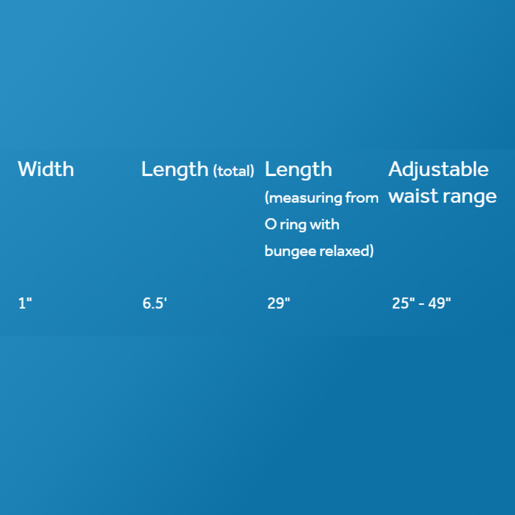 RC Pets Bungee Active Dog Leash Black, 6.5' image number null