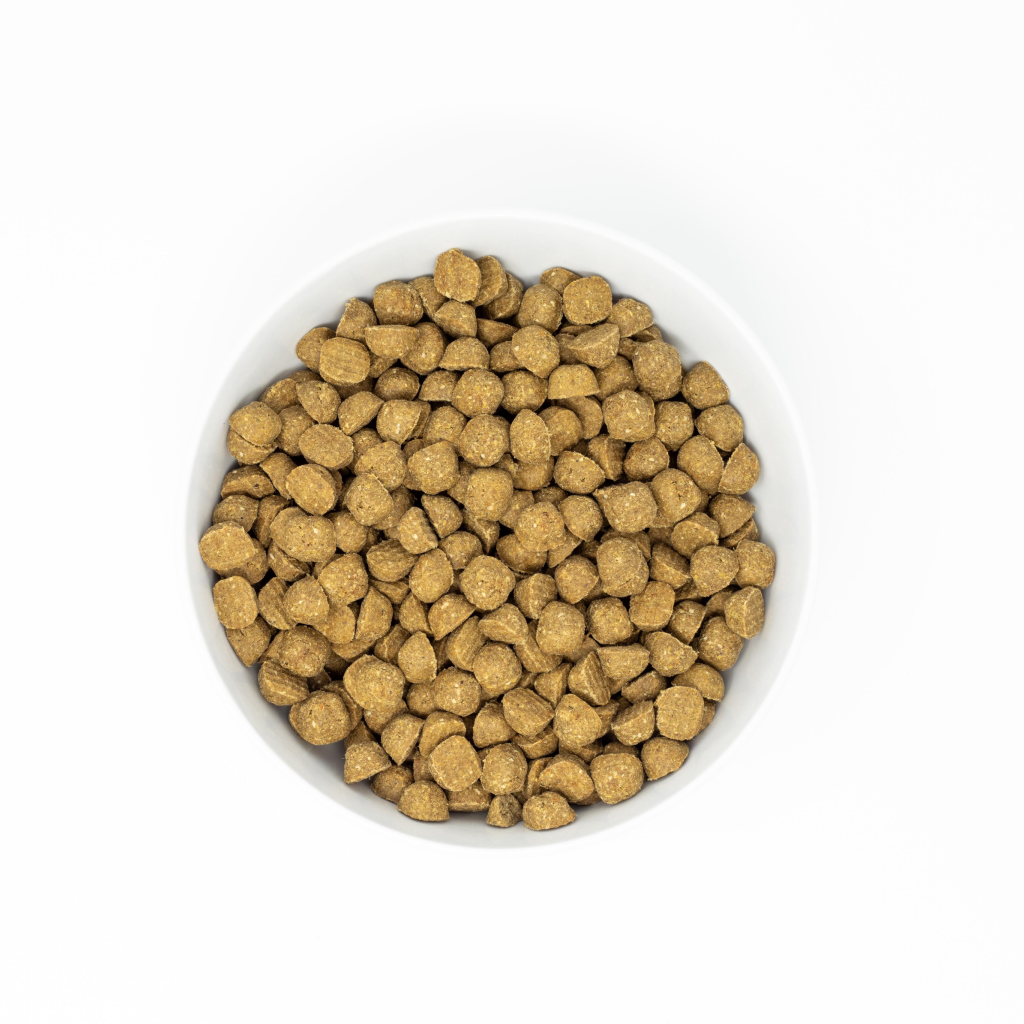 Stella & Chewy's Dog Raw Coated Kibble, Wild-Caught Whitefish, 22-lb image number null