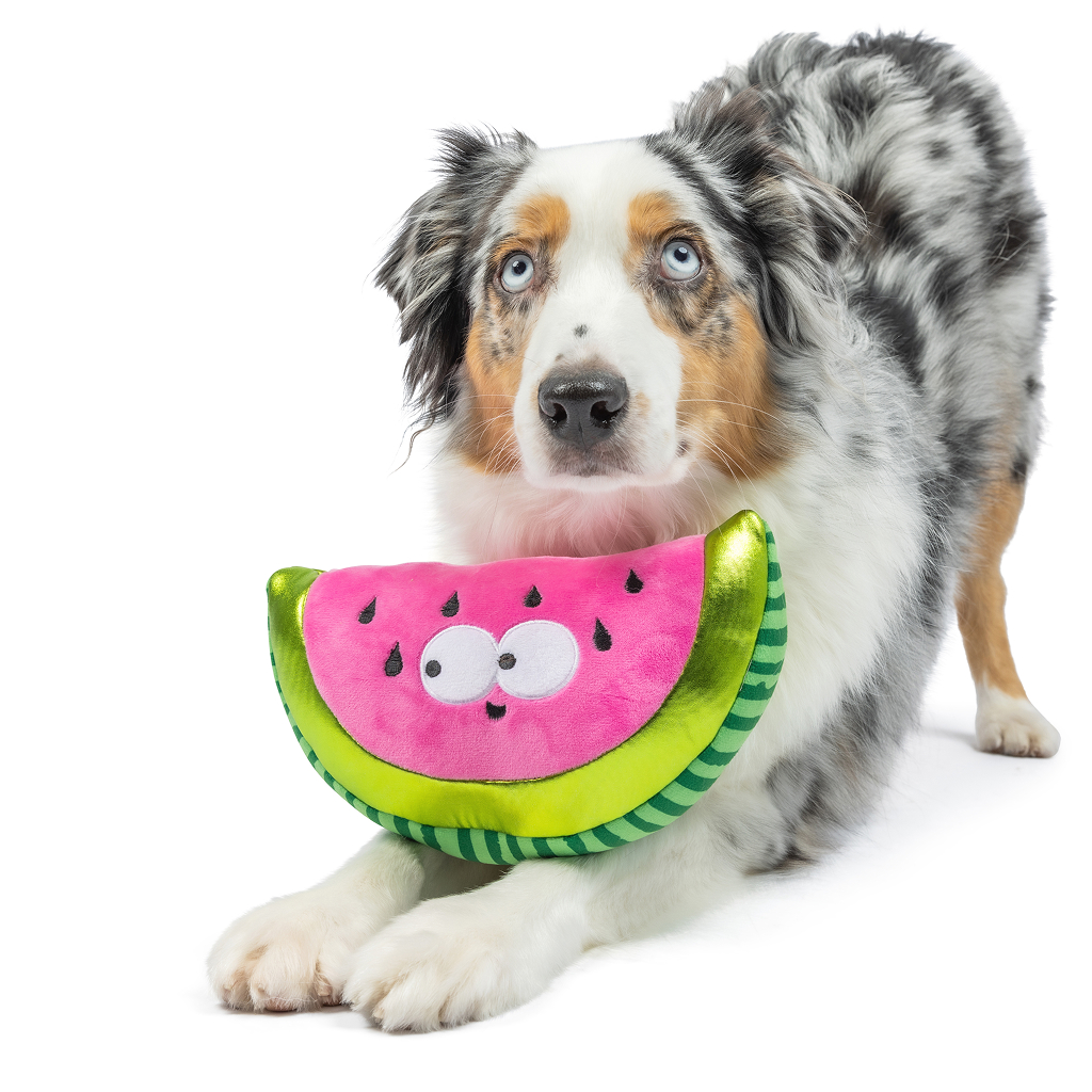 Huxley & Kent Dog Fetchies WALTER MELON-SM image number null