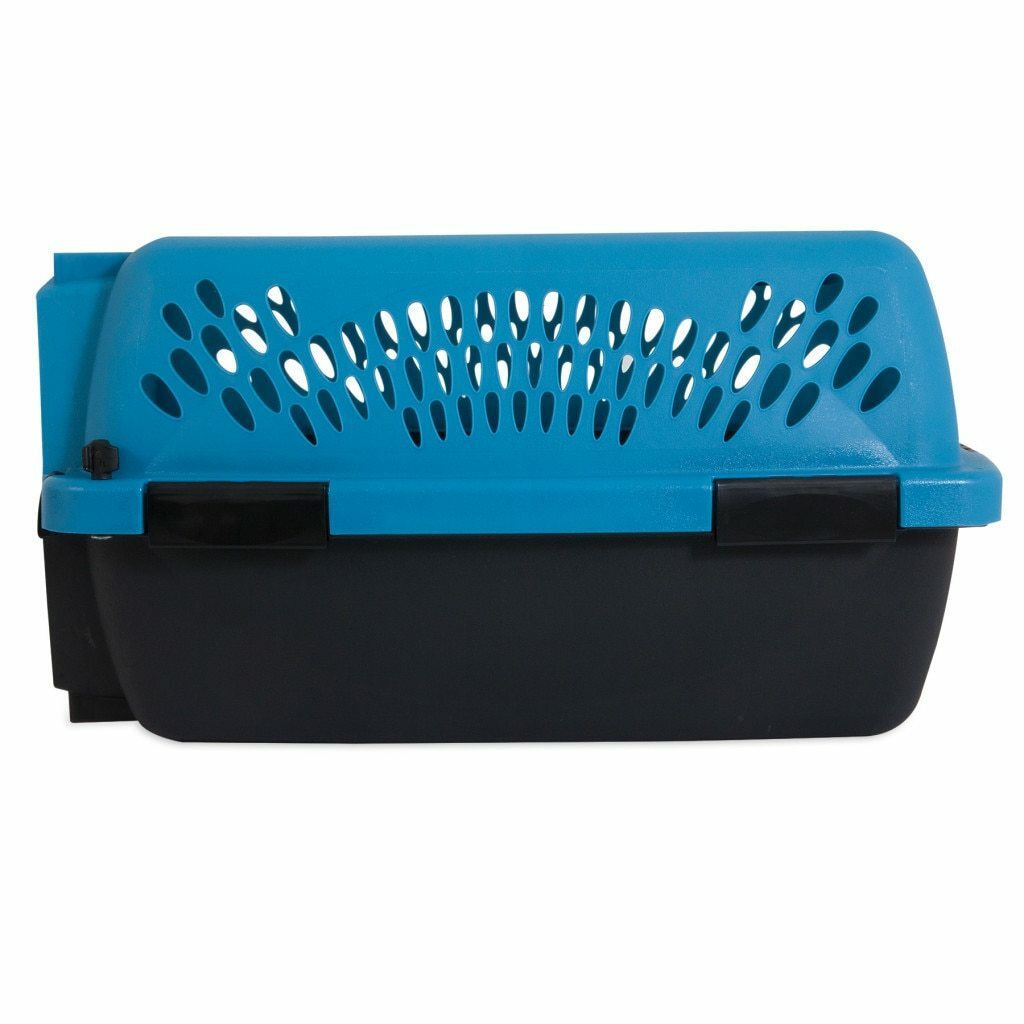 Ap Pet Porter 19In Fash Up To 10-lb image number null