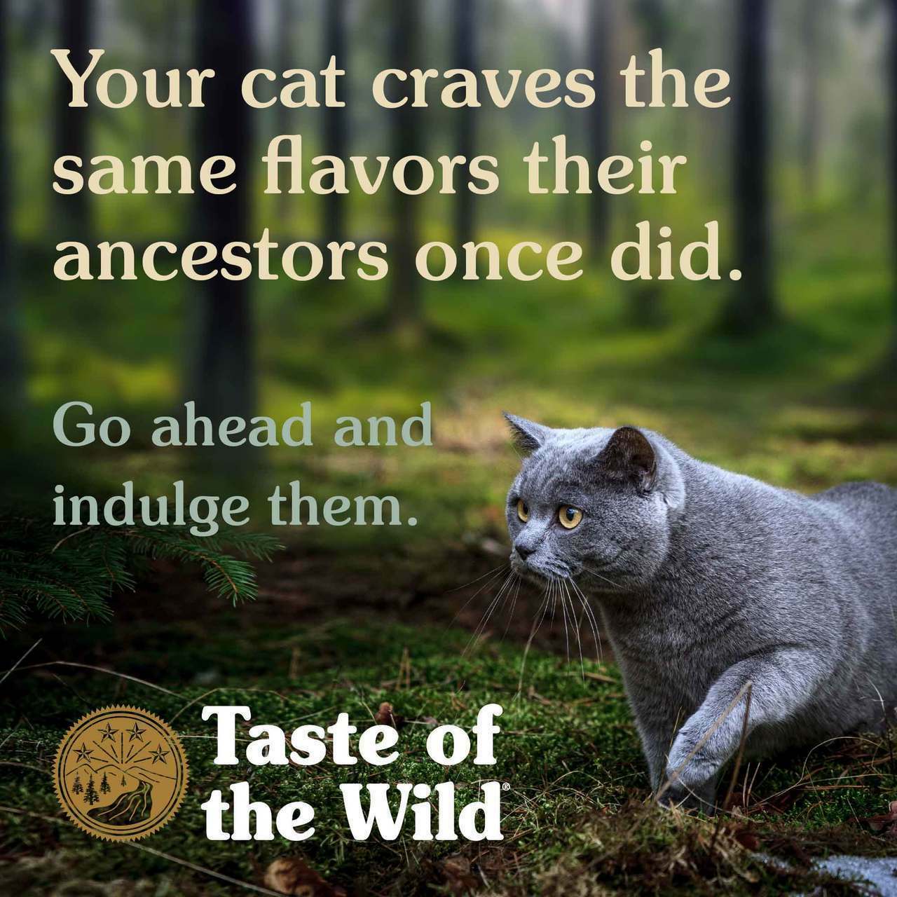 Taste Of The Wild Canyon River Feline Recipe With Trout & Smoked Salmon Dry Cat Food, 5-lb image number null