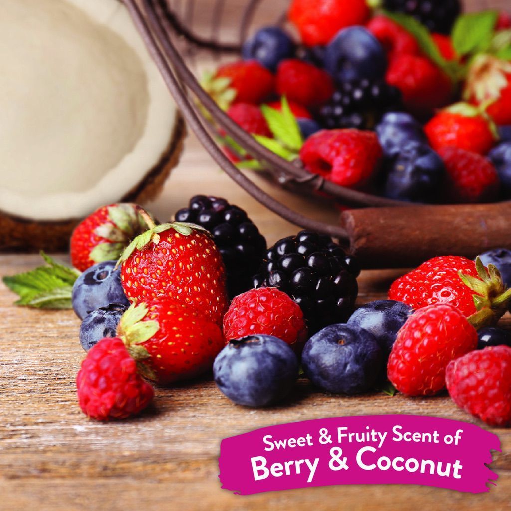 Tropiclean Berry & Coconut Deep Cleansing Shampoo For Pets, 20-oz - Made In USA - Effective Cleansing For Smelly Dogs And Cats image number null