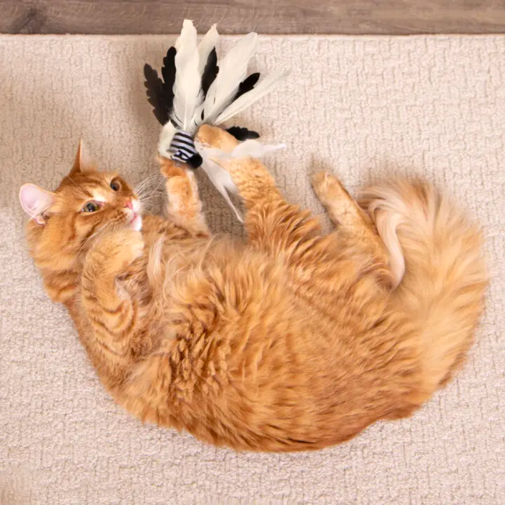 Instincts by SmartyKat Zingy Zebra Feathered Launcher Cat Toy, 1-count image number null