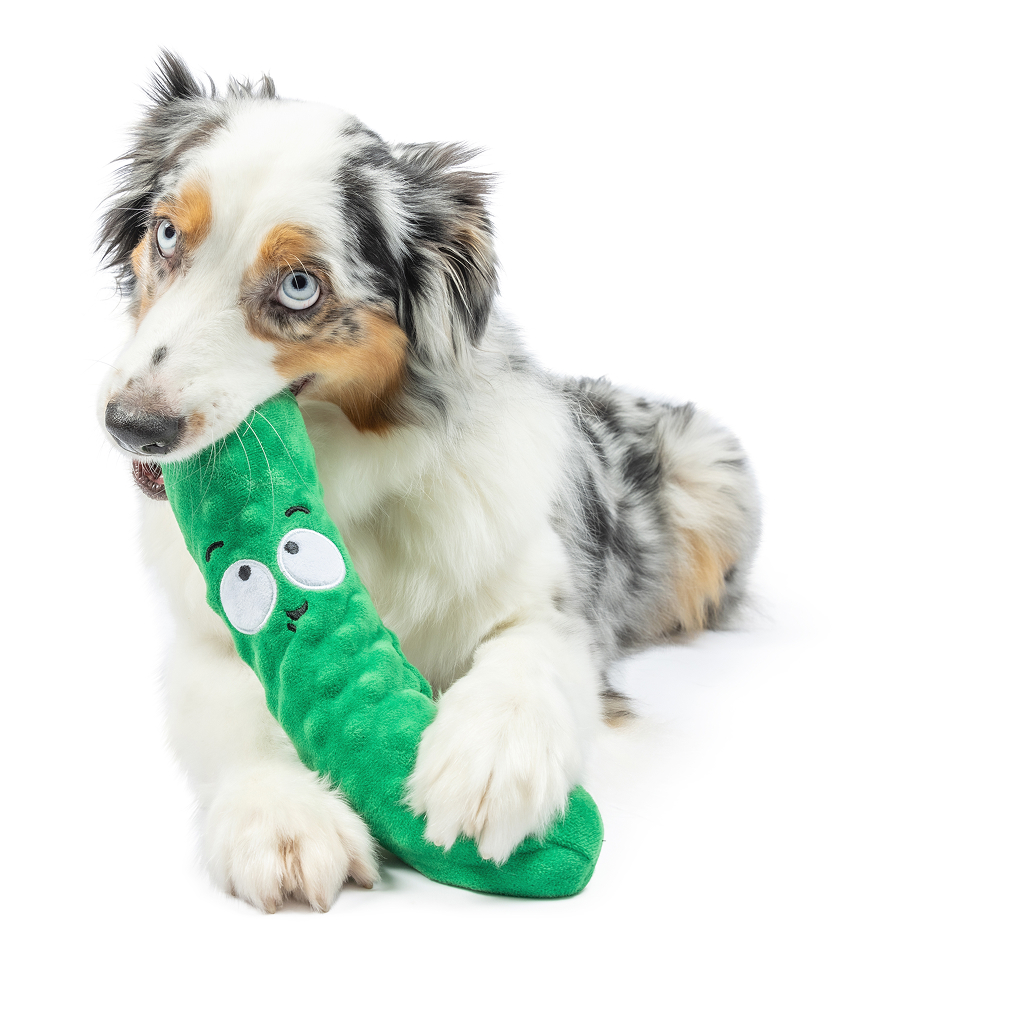 Huxley & Kent Dog Fetchies DELL PICKLE-LG image number null