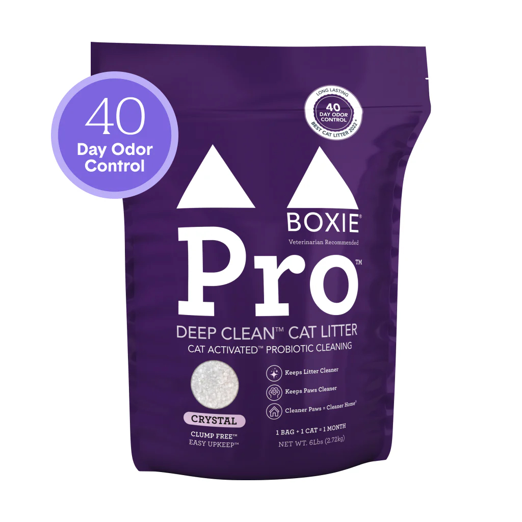 Boxie Pro Self-Cleaning Probiotic 40 Day Odor Control Non-Clumping Crystal Cat Litter, 6-lb image number null
