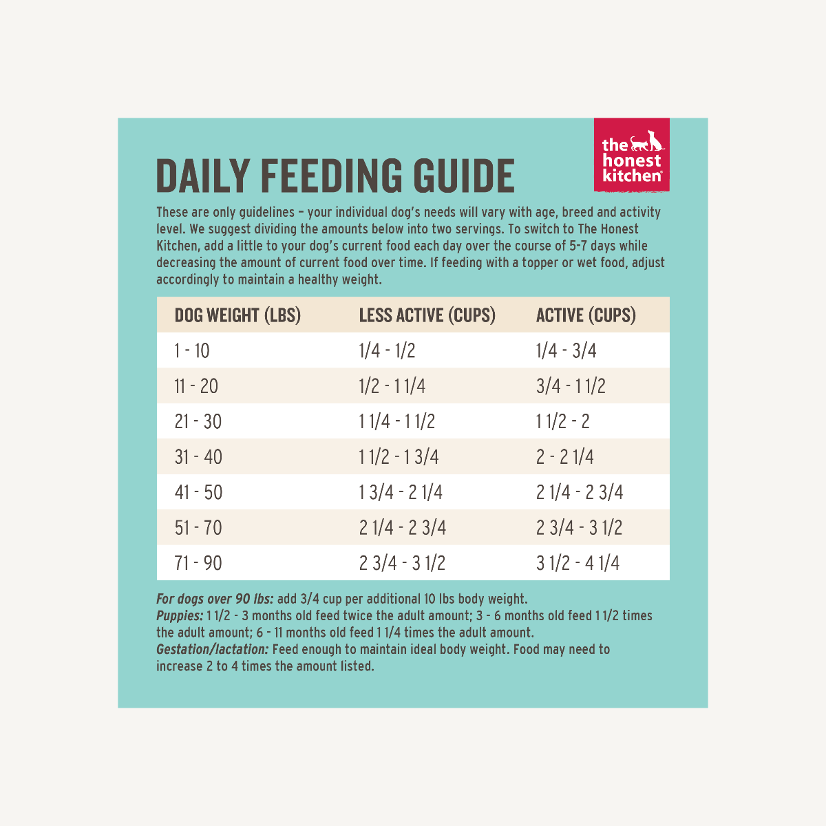 The Honest Kitchen Grain Free Turkey Whole Food Clusters Dog Food, 20-lb image number null