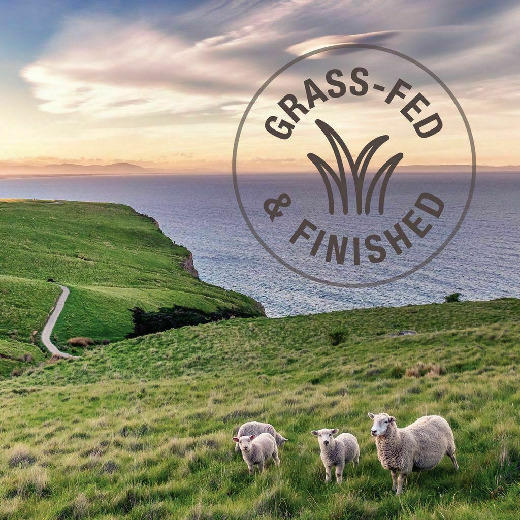 Feline Natural Lamb And Salmon Feast Freeze Dried Cat Food, 11-oz image number null