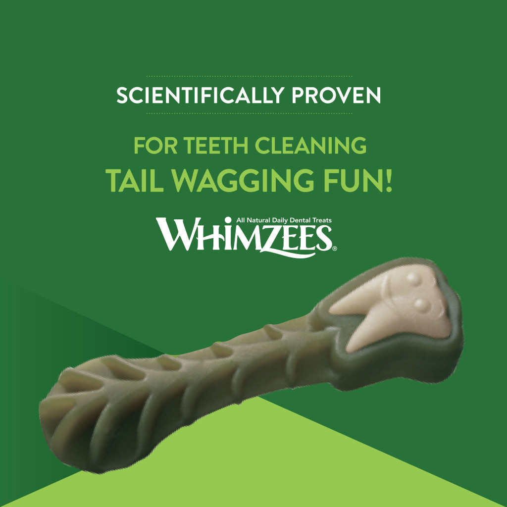 Whimzees Dog Alligator Natural Dental Chew, Large image number null