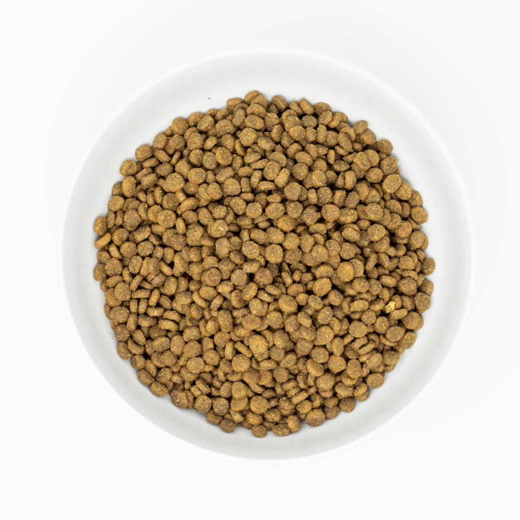 Stella & Chewy's Cat Raw Coated Kibble, Wild-Caught Salmon Recipe, 5-lbs image number null