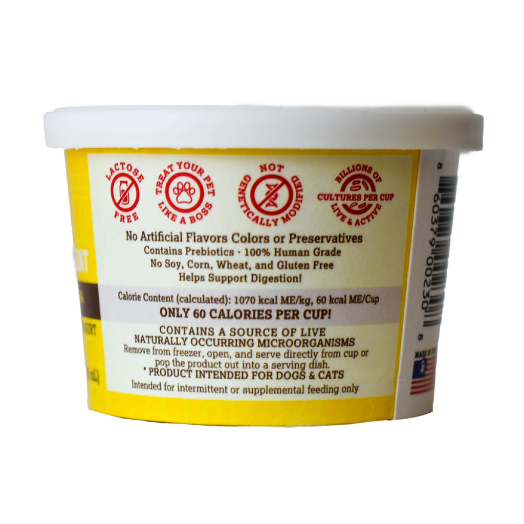 Greek Style Frozen Yogurt Treat Real Cheddar & Bacon, 4 Pack image number null