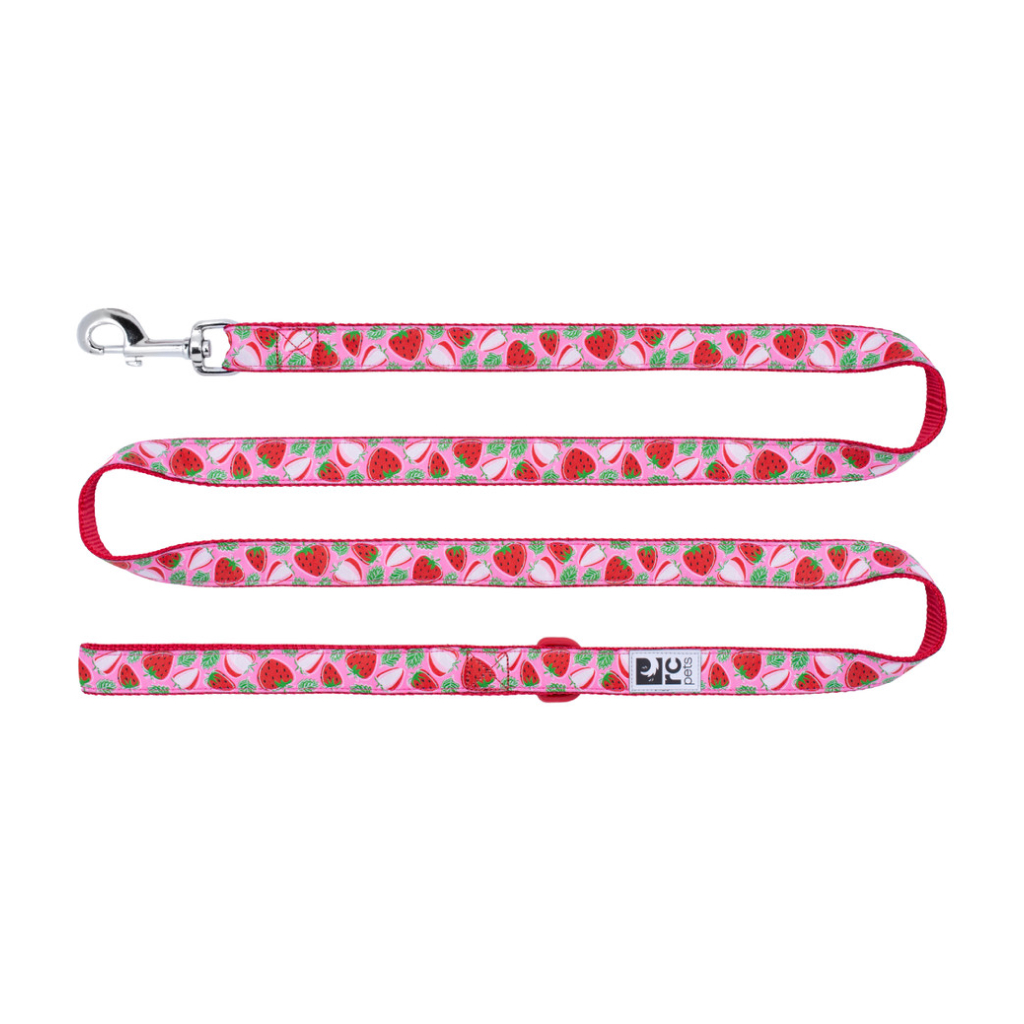RC Pets 3/4"x6' Dog Leash Strawberries image number null